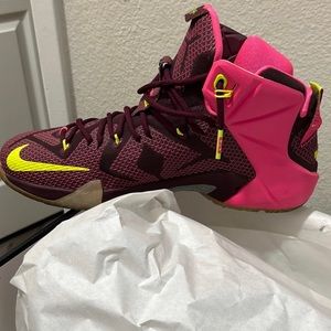 Nike Lebron Double Helix Sneakers